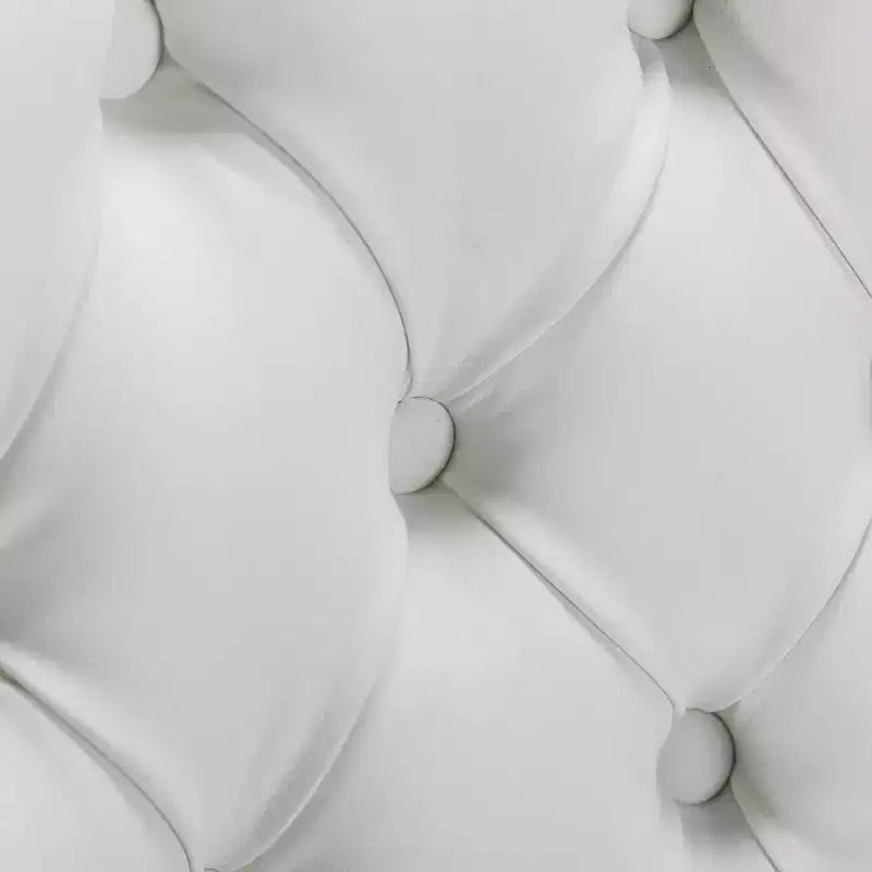 Deux chaises de salle à manger capitonnées bicolores