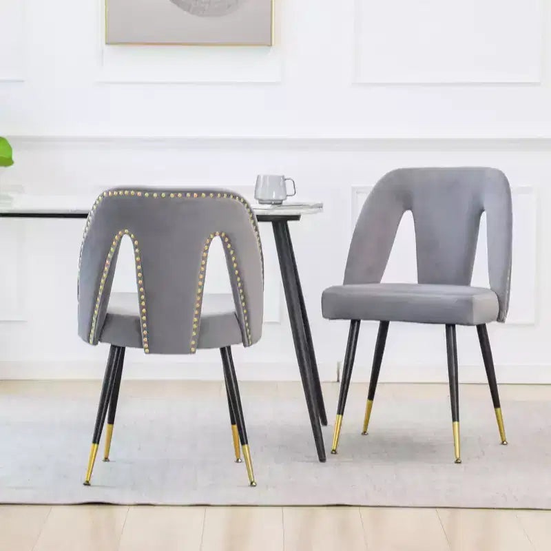 TUYOHW Contemporary Dining Chairs Set of 2 Sleek Dining Room Side Chairs Chic Accent Chairs with Nailhead Trim Back for Kitchen Home Decor